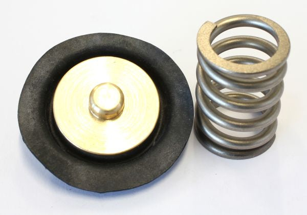 Replacement Fuel Pressure Regulator Diaphragm   Suit AF66-2055