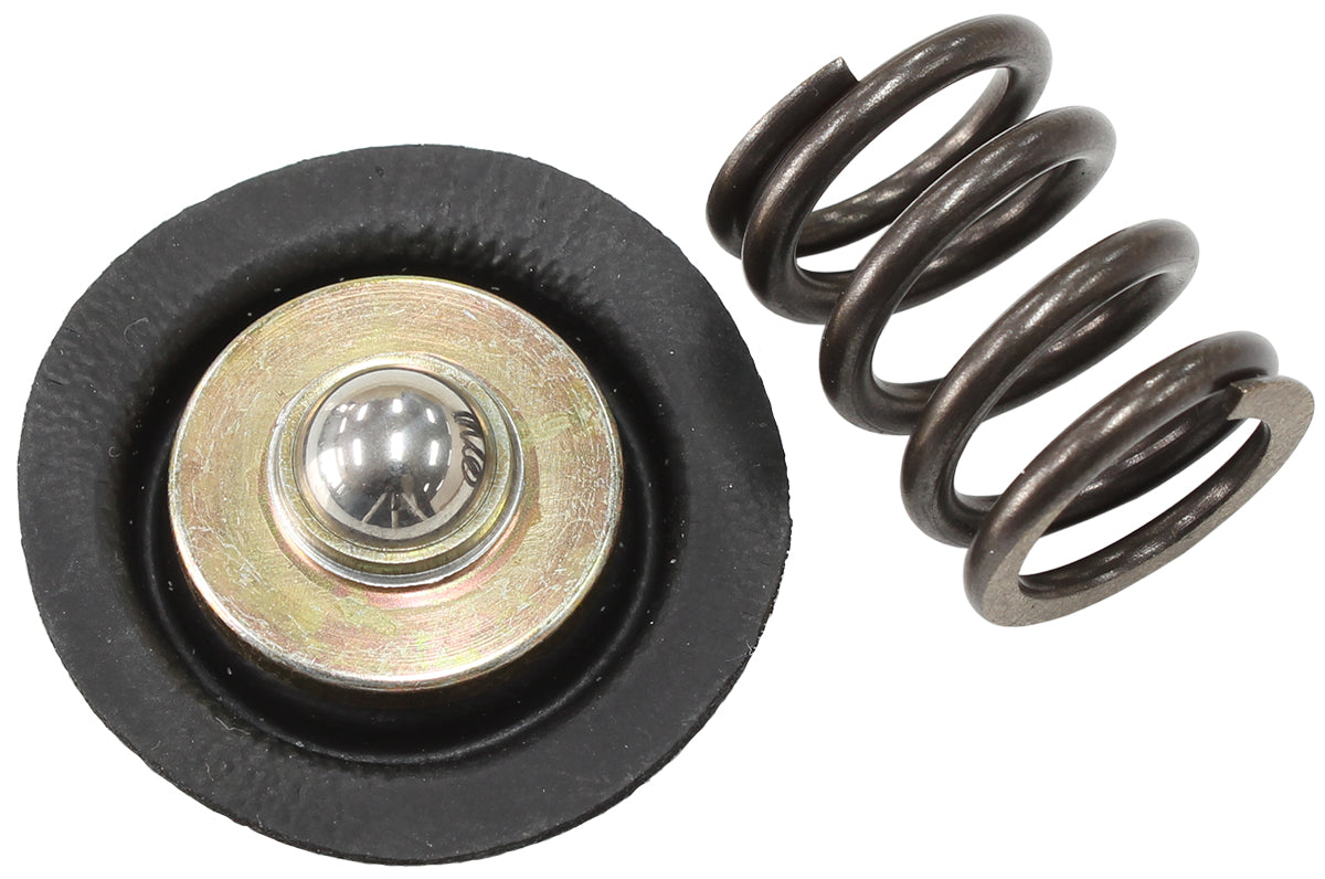 Replacement Spring & Diaphgram Assembly  Suit AF66-2058 Fuel Regulator