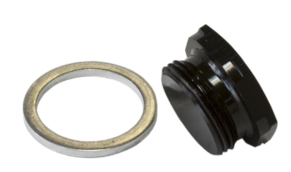 Holley Fuel Bowl Inlet Blank Plug   Black finish, 7/8"-20