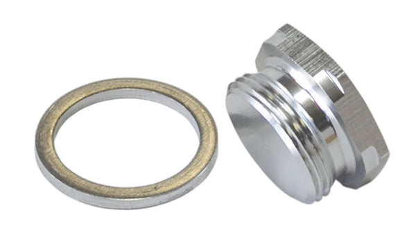 Holley Fuel Bowl Inlet Blank Plug   Silver finish, 7/8"-20
