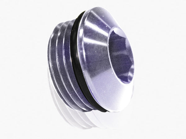 Slimline ORB Port Plug -20AN   Silver Finish