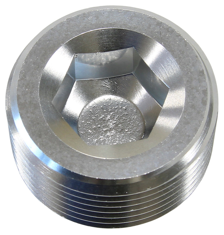 NPT Plug 3/8"   Silver Finish