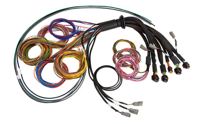 Nexus R5 Basic Universal Wire-In harness - 2.5M (8') Default Title